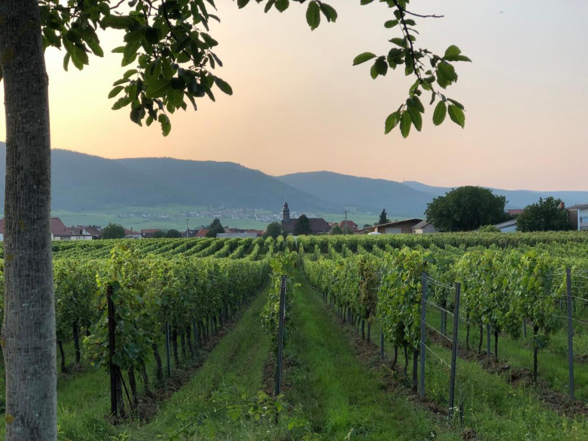 Ferienwohnung Suedpfalz Mit Fernblick Bochingen Zewnętrze zdjęcie