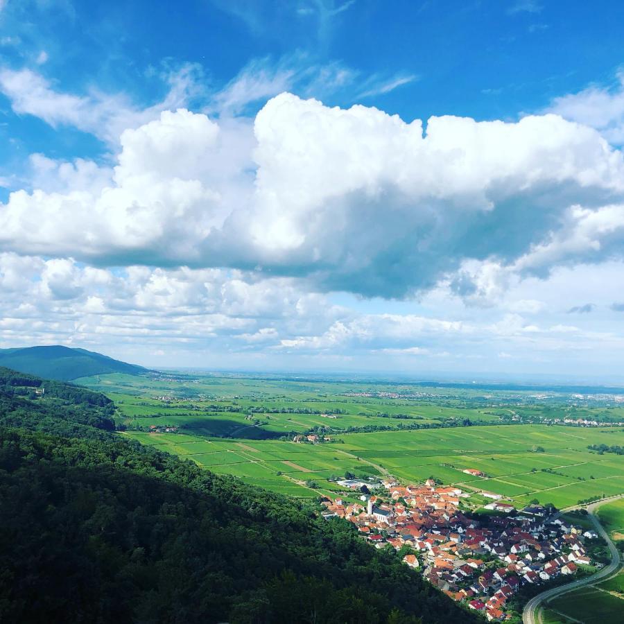 Ferienwohnung Suedpfalz Mit Fernblick Bochingen Zewnętrze zdjęcie