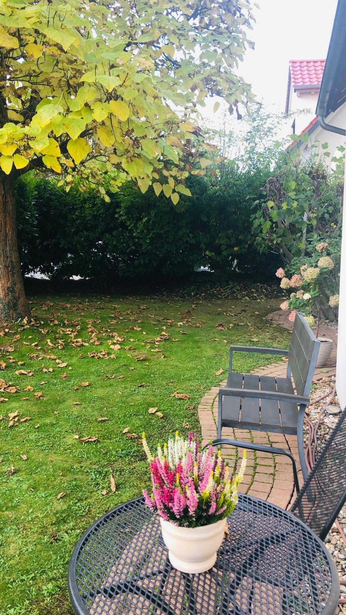 Ferienwohnung Suedpfalz Mit Fernblick Bochingen Zewnętrze zdjęcie